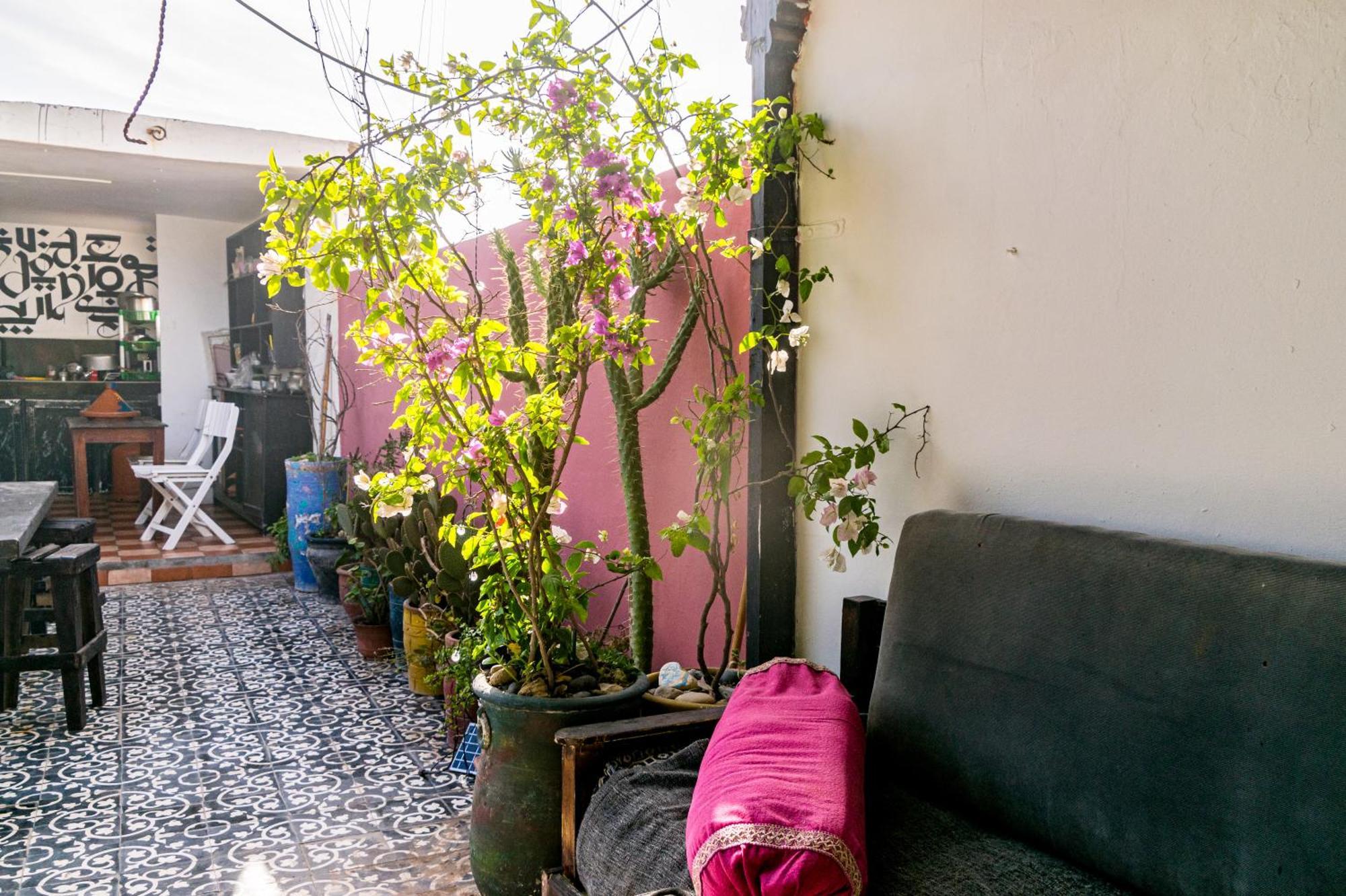 Essaouira Youth Hostel & Social Travel Exterior foto